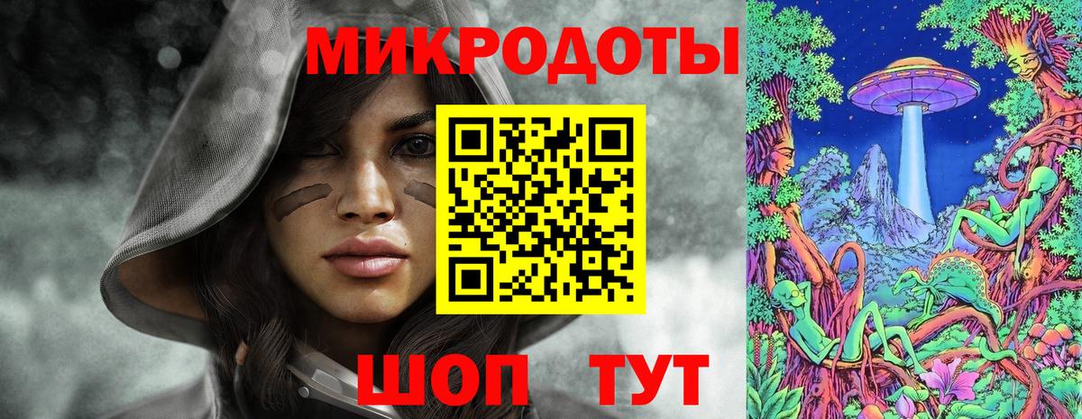 Галлюциногенные грибы Psilocybine cubensis  Вход с VPN  Псилоцибиновые грибы мухоморы  Муравленко 