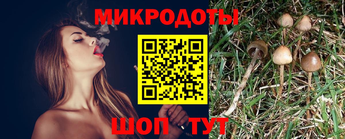 Галлюциногенные грибы Cubensis Муравленко